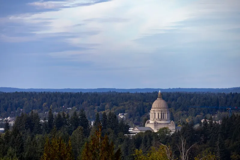 The Invisible Architects: How Consulting Firms Are Pre-Shaping Washington's Policy Menu