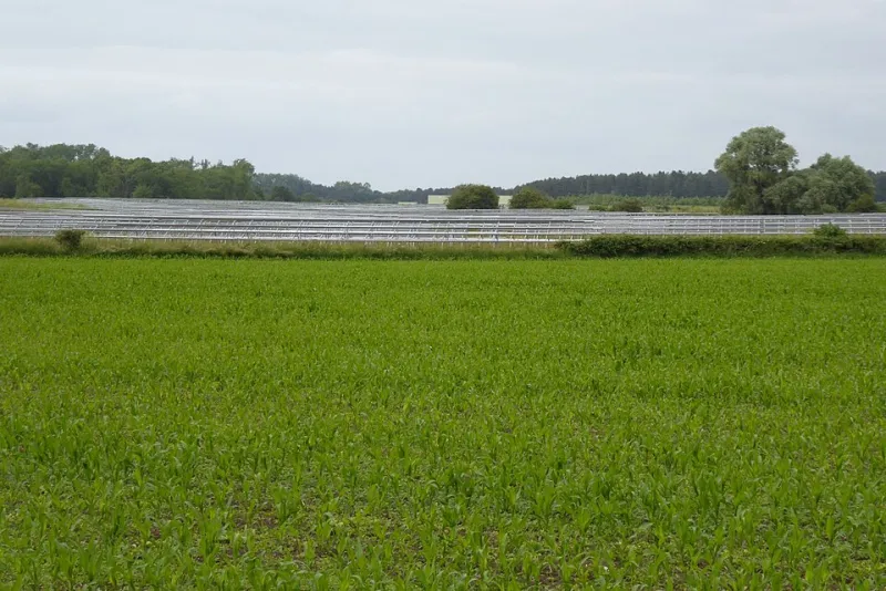 Green Dreams, Red Tape: How Washington's Permitting Maze Is Stalling Its Own Clean Energy Future